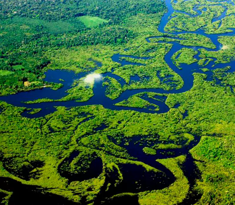 Amazon Eco Park - Amazonas